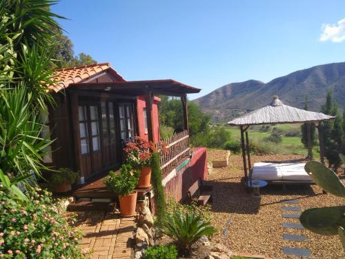 Skats, El Jardín de las Hadas (El Jardin de las Hadas) in Turre