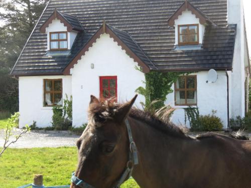 Letterfrack Mountain Farm Cottage on farm in village centre