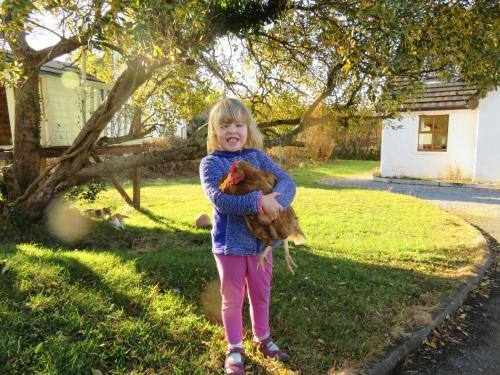 Heatherhill Farm Cottage in Letterfrack beside Connemara National Park, Galway