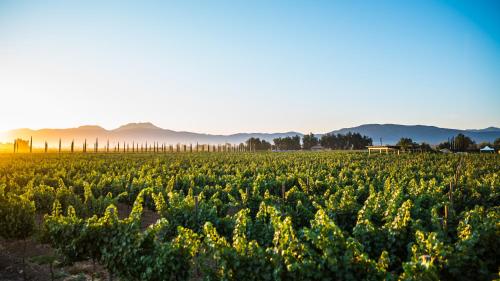 El Cielo Valle de Guadalupe