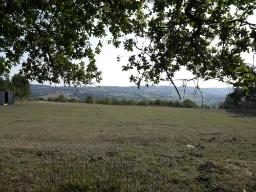 สภาพแวดล้อมโดยรอบ, les Miquelots in ฟาแลส