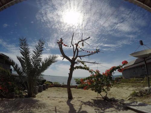 Hogarista Homestay in Wakatobi