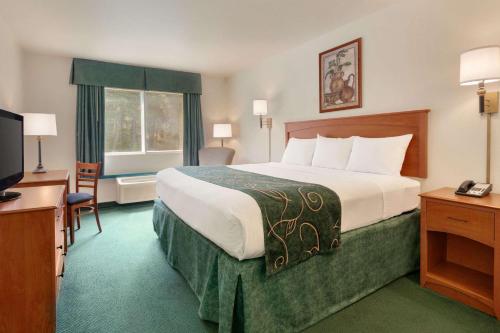 1 queen bed