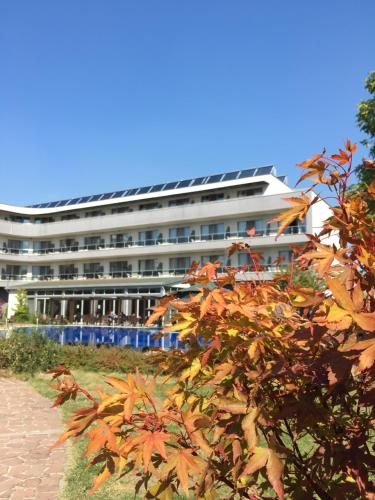 Spa Hotel Ata - main image