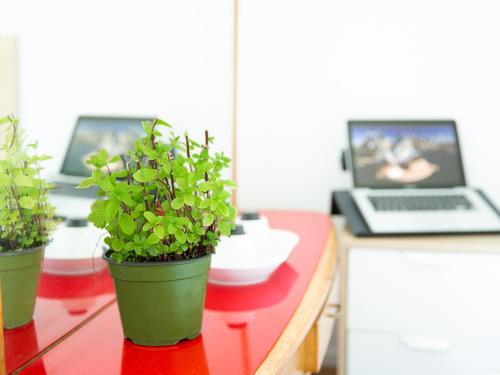 Room In Roma Isole - image 5