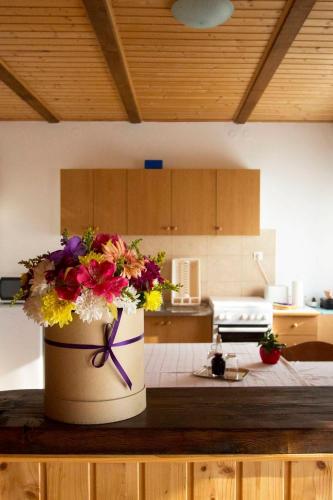  Apartment Goga in Fužine