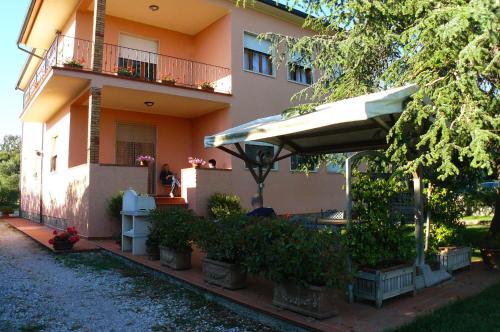 La Mimosa - image 2