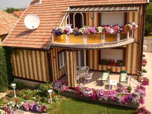 Amália Apartman, Gyula