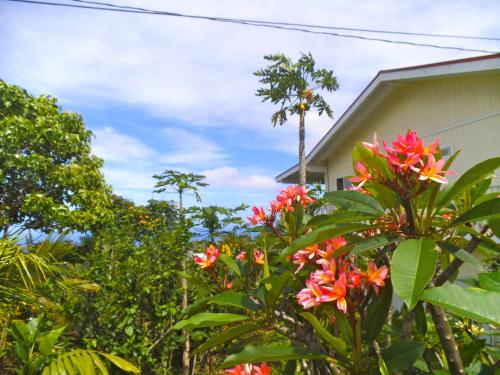 Dārzs, Bears' Place Guest House in Kalaoa (HI)