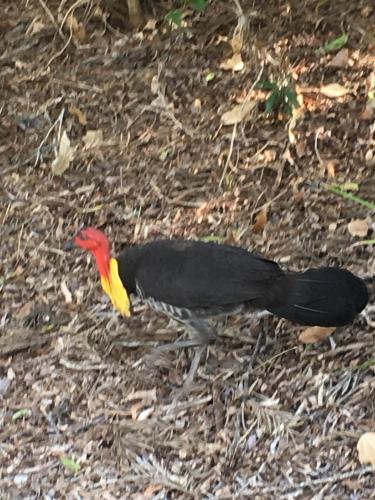 太陽鳥花園別墅圖片