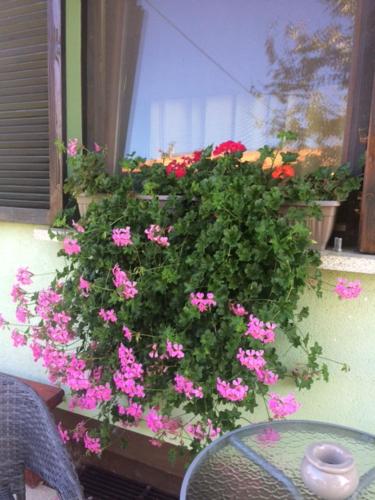 Holiday Home Mađerka