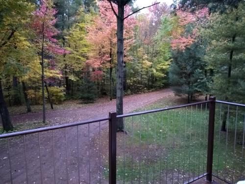 Wooded retreat - image 12