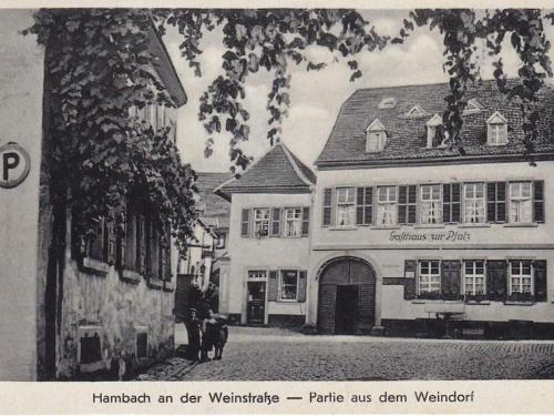 Haus Wasmuth - Ferienwohnung DORFPLATZ