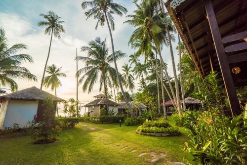 Vrt, 1511 Coconut Grove in Tioman Island