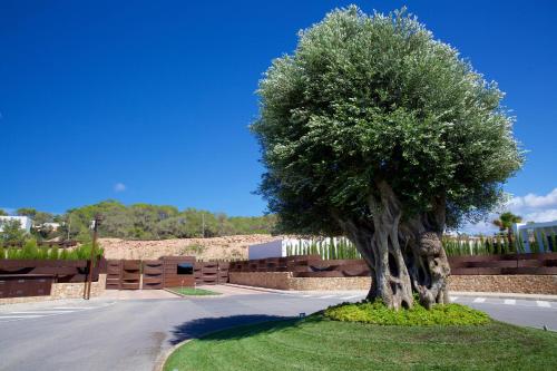 Can Dos Rocas Ibiza gîte à louer Cala Conta Beach