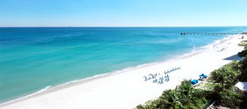 Sole Miami A Noble House Resort - main image