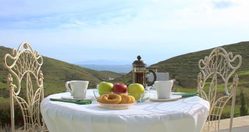 View, Villa Tripotamos in Tinos