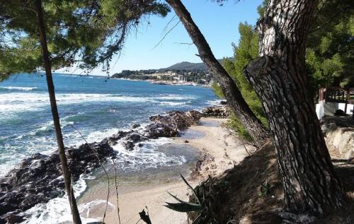 **** Beau T2 de 40 m2, jardin de 70m2, au calme, à 50 mètres de la plage