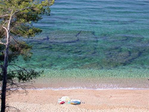 **** Beau T2 de 40 m2, jardin de 70m2, au calme, à 50 mètres de la plage