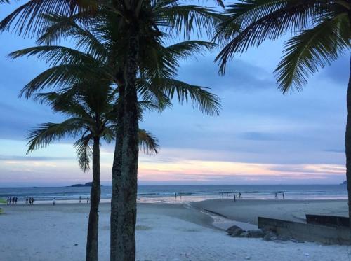 Apartamento - Praia da Enseada
