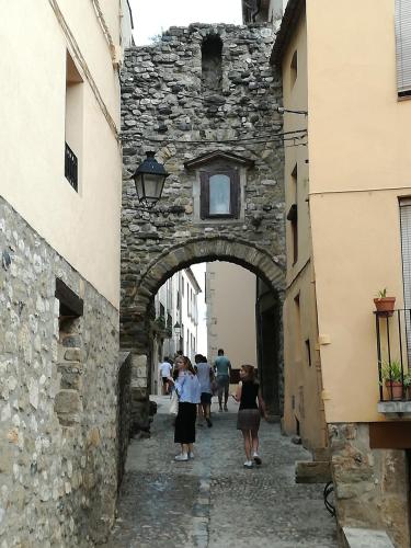  Can Teixidor in Besalú