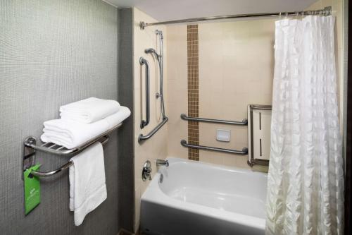 King Room with Sofa Bed and Accessible Tub - Disability Access