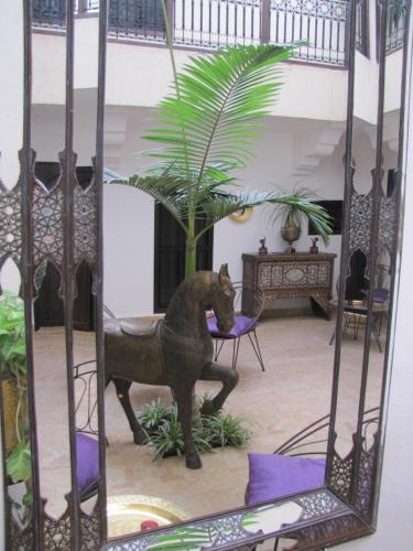 Riad Houdou - image 2
