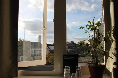 Hostel Roots - image 6