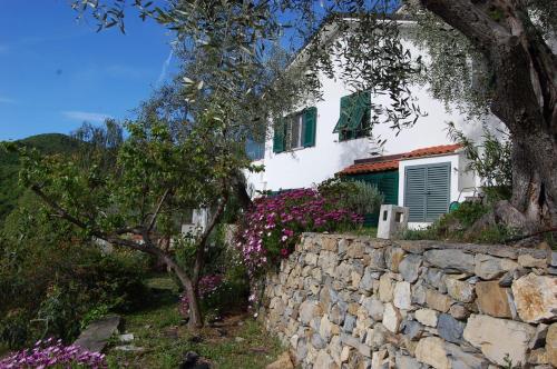 Lupo Solitario gîte à louer Testico