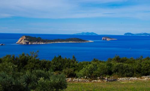  Sandra Apartments, Unterkunft in Cavtat