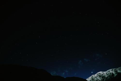 Tree House Lodge Bed & Breakfast Tree House Lodge Bed & Breakfast