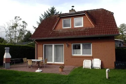 Seemöwe in Bedekaspel, Deutschland