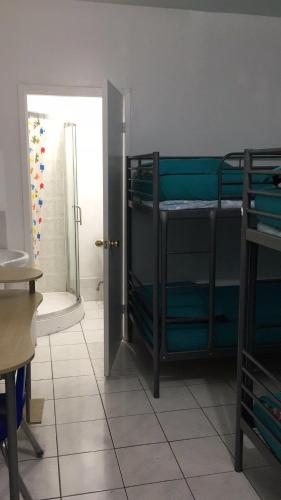 University Apartment
