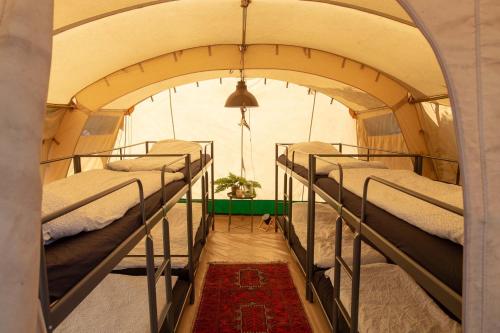 Bed in 8-Bed Dormitory Room