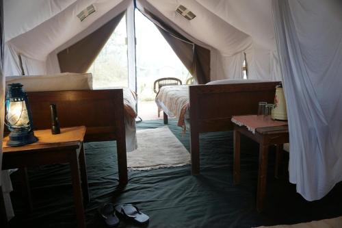 164010681 Tiger Tops Tharu Lodge