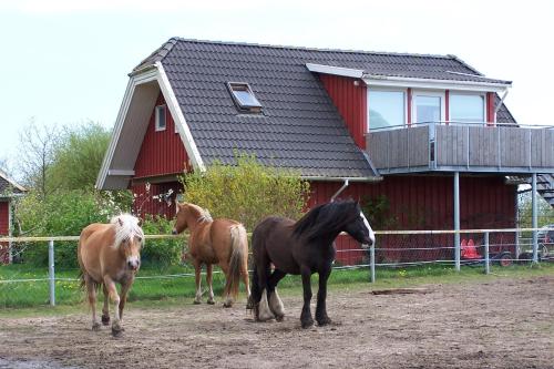 Urlaub auf dem Bauernhof Löbnitz 