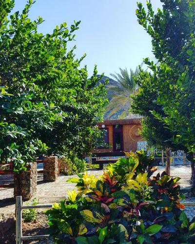 Garden, The Retreat in Al Aqah