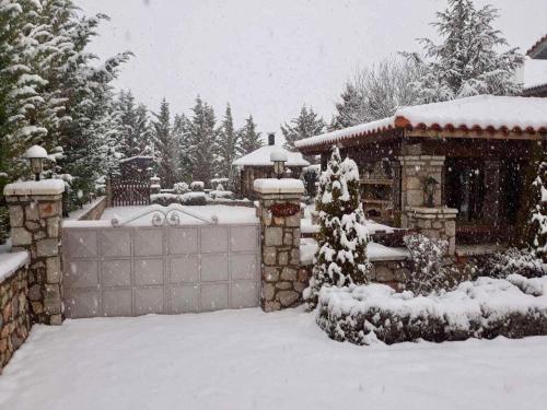 villa in Parnassos, Arachova