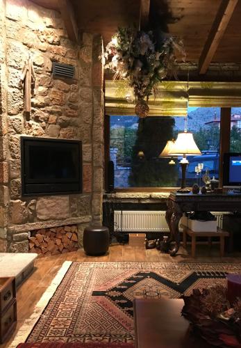 villa in Parnassos, Arachova (foto 10)