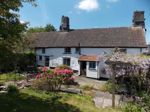 The Longhouse B&b, , Devon