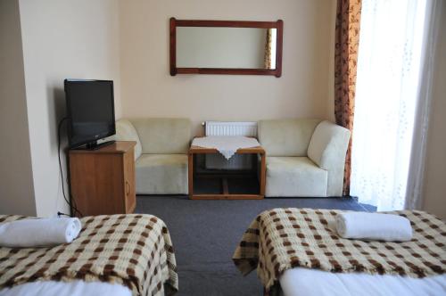 Double Room room in Willa Zlocien