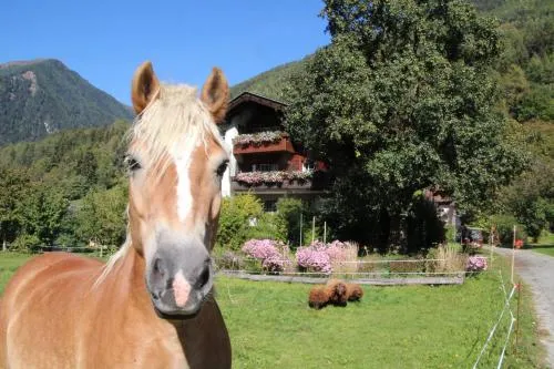 Bio-Bauernhof Auernig in Obervellach, Österreich