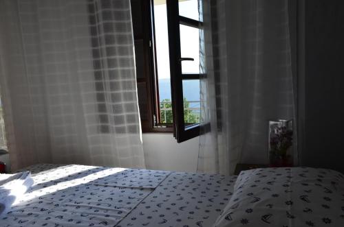 Vila Nikola - main image