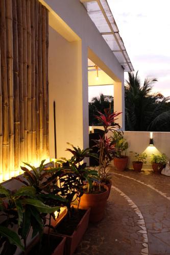 Green Roof - Family Room