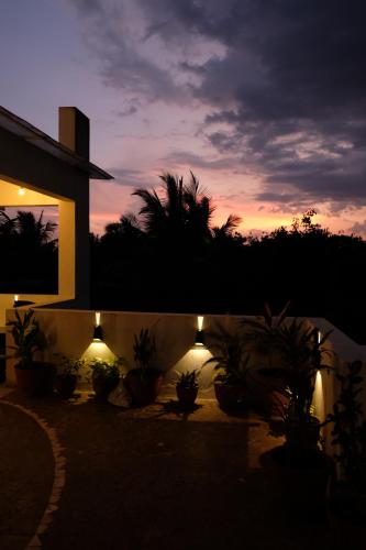 Green Roof - Family Room