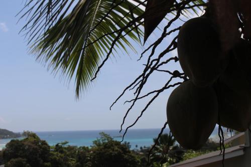 سكن ستيفنا سكن ستيفنا