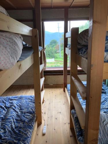 Bunk Bed in Female Dormitory Room 