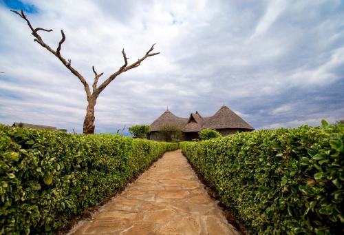 Erkély/terasz, AA Lodge Amboseli in Amboseli Nemzeti Park