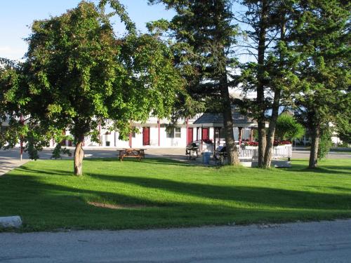 Mountain Springs Motel