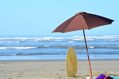 Salty Dog - image 7